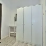 Rent 1 bedroom apartment in lodz