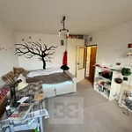 Rent 1 bedroom apartment in Praha 4