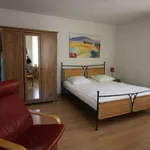 Rent 1 bedroom apartment of 24 m² in Zürich