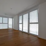 Rent 4 bedroom apartment of 128 m² in Liebenau