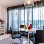 Rent 1 bedroom apartment of 76 m² in madrid