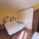 Rent 2 bedroom apartment of 50 m² in Biella