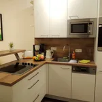 Rent 1 bedroom apartment of 28 m² in Maria Enzersdorf