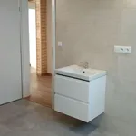 Rent 4 bedroom apartment in Hulín