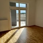  appartement avec 1 chambre(s) en location à Manage