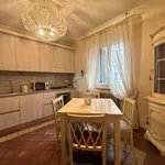 Rent 4 bedroom apartment of 100 m² in Verona