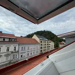 Rent 2 bedroom apartment of 58 m² in Graz