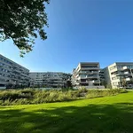 Rent 2 bedroom apartment in EDEGEM