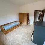 Rent 3 bedroom apartment of 65 m² in Bologna