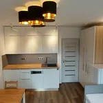 Rent 1 bedroom apartment in Jablonec nad Nisou