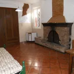 Rent 1 bedroom apartment in modena