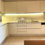 Rent 3 bedroom apartment of 140 m² in Vicenza