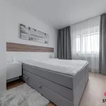 Rent 2 bedroom apartment of 51 m² in Prague