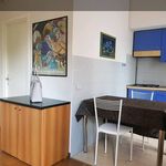 Rent 1 bedroom apartment of 36 m² in Como