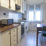 Rent 1 bedroom apartment in rome