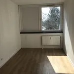 Miete 3 Schlafzimmer wohnung von 81 m² in Siegen