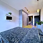 Rent 4 bedroom apartment of 191 m² in Poznan