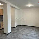 Rent 1 bedroom apartment of 35 m² in Hradec Králové