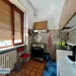 Rent 3 bedroom apartment of 80 m² in Turin