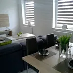 Rent 3 bedroom apartment of 68 m² in Rzeszów