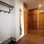 Rent 1 bedroom apartment in České Budějovice