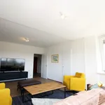 Rent 4 bedroom apartment in The Hague