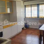 Rent 4 bedroom apartment of 95 m² in Perugia