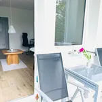 Rent 1 bedroom apartment of 35 m² in Chemnitz