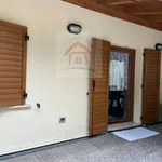 Rent 2 bedroom apartment of 50 m² in Mezzolombardo