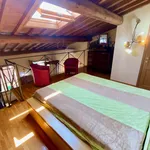 Rent 1 bedroom apartment of 65 m² in florence