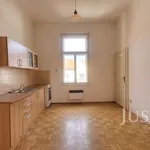 Rent 1 bedroom apartment of 66 m² in Písek