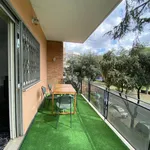 Rent 5 bedroom apartment of 153 m² in Rome