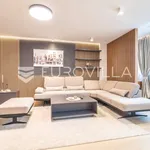 Rent 2 bedroom apartment of 89 m² in Zagreb