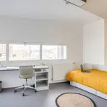 Appartement de 18 m² avec 1 chambre(s) en location à Palaiseau