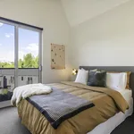 Rent 3 bedroom house in Auckland