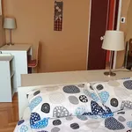 Rent 5 bedroom apartment of 65 m² in Padua