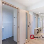 Rent 2 bedroom apartment in Capital City of Prague