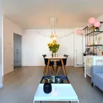 Rent 1 bedroom apartment in Gent