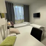 Rent 1 bedroom apartment of 19 m² in Mainz