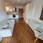 Affitto 1 camera appartamento di 47 m² in Cernusco sul Naviglio