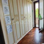 Rent 4 bedroom apartment of 134 m² in Pavia