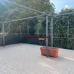 Rent 2 bedroom apartment of 81 m² in Velletri