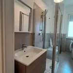 Rent 2 bedroom apartment of 40 m² in Milano