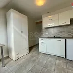 Rent 2 bedroom apartment of 25 m² in Praha