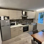 Rent 3 bedroom apartment of 80 m² in Riccione