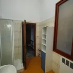 Rent 2 bedroom apartment of 60 m² in Bologna