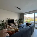 Rent 1 bedroom apartment in Gent