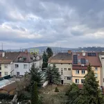 Rent 1 bedroom apartment of 98 m² in Brno