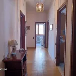 Rent 3 bedroom apartment of 90 m² in Frosinone