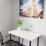 Rent a room in poznan